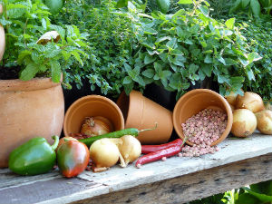 Home Harvest